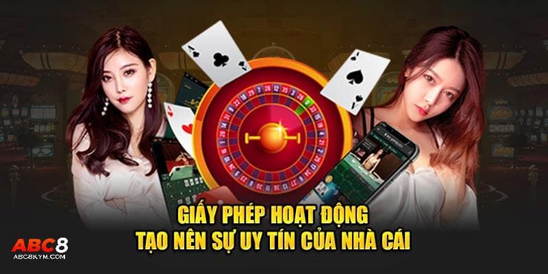 Các loại giấy phép hoạt động ABC8 hiện đang sở hữu là gì?