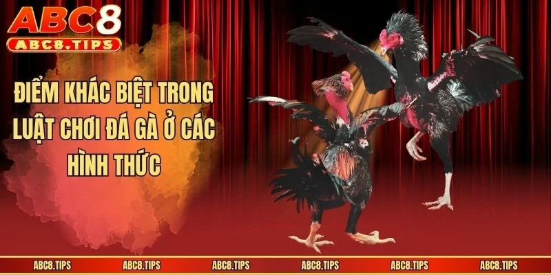 Luật Chơi Đá Gà - Các Quy Tắc Tân Binh Cần Biết Khi Đặt Cược 4 Điểm khác biệt trong luật chơi đá gà ở các hình thức