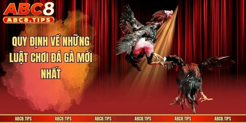 Luật Chơi Đá Gà - Các Quy Tắc Tân Binh Cần Biết Khi Đặt Cược 2 Quy định về những luật chơi đá gà mới nhất